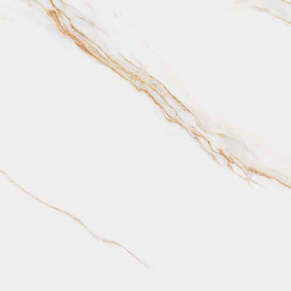Aureus